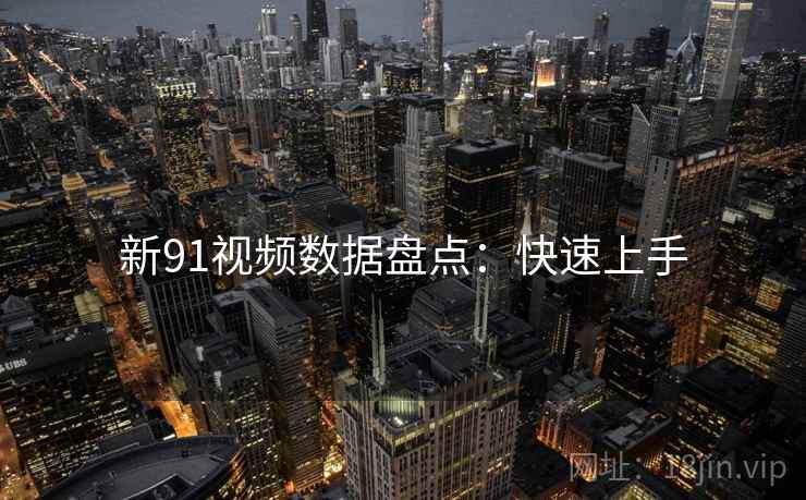 新91视频数据盘点：快速上手
