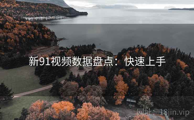 新91视频数据盘点：快速上手