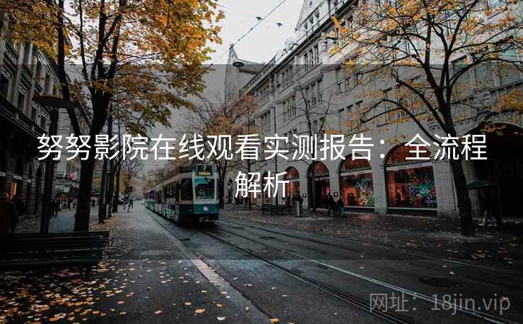 努努影院在线观看实测报告：全流程解析