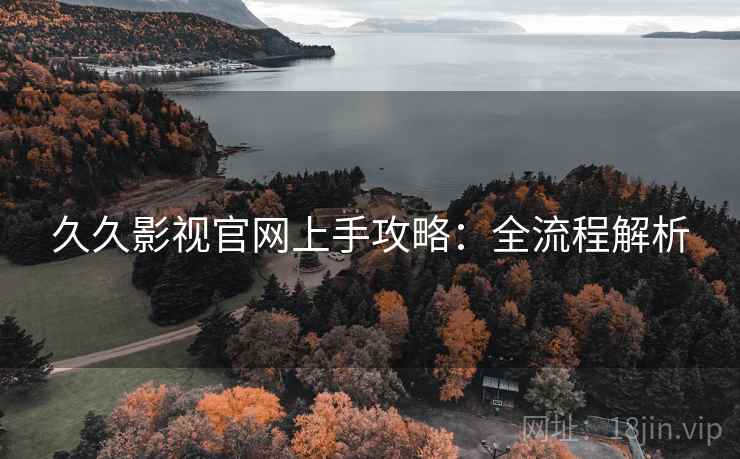 久久影视官网上手攻略：全流程解析