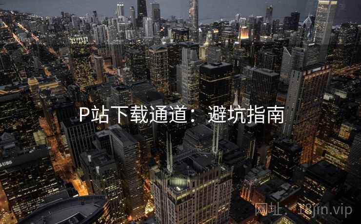 P站下载通道：避坑指南