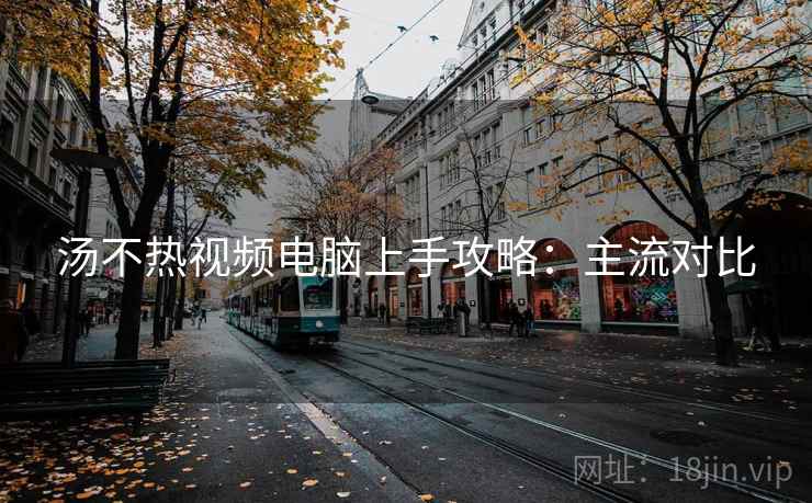 汤不热视频电脑上手攻略：主流对比